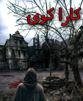 اتاق فرار کاراکوی
