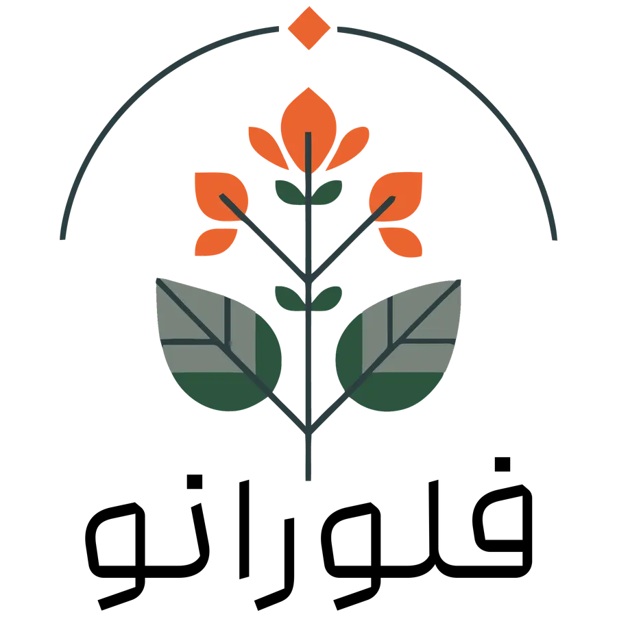 آکادمی فلورانو