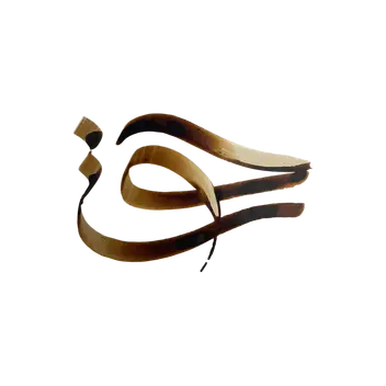 سینما ترس سفالگری با دست حوت