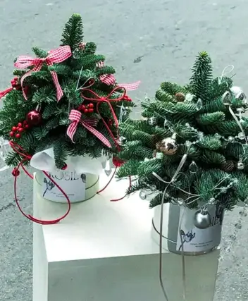 سینما ترس درست کردن و دیزاین درخت کریسمس