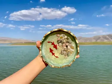 تجربه ساخت ماهی رزینی